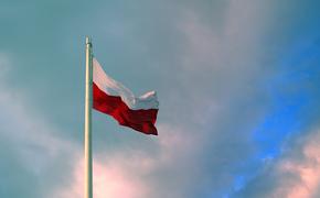 В Совфеде высказались о возможности выплат репараций Польше: шансы нулевые