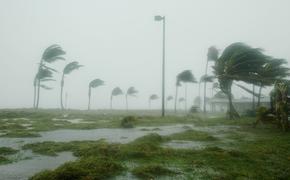 Ураган «Ирма» разогнался до скорости 220 километров в час