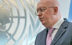 Россия направила в Совбез ООН проект резолюции о введении миротворцев в Донбасс