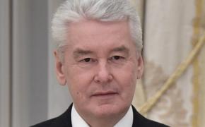 Собянин: все председатели УИК в Ново-Переделкино заменены