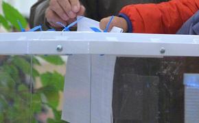 В Мосгордуме рассказали, сколько сообщений о нарушениях на выборах подтвердились