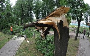 Синоптики повысили уровень погодной опасности в Москве