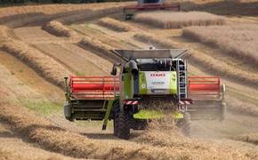В Киеве считают, что Россия начала зерновую войну с Украиной
