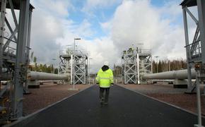 Европа не сможет избежать зависимости от российского газа в ближайшие 20 лет