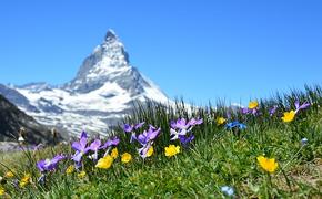 В Швейцарии начали продавать горный воздух