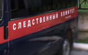 В московском парке найдена человеческая голова