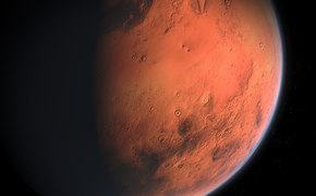 Ученые нашли на Марсе объекты, напоминающие останки животных
