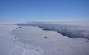 Ученых заинтересовала гигантская полынья в арктическом море Уэдделла