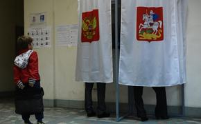 Реформы избирательной системы  предложат  Путину эксперты СПЧ