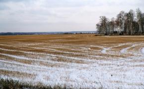 Свердловский АПК перевыполнил план по урожаю