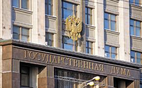 В Думе прокомментировали заявление Киева о биометрическом визовом режиме для РФ