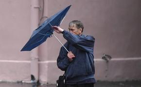 В Москве 2 ноября объявили "желтый уровень" погодной опасности