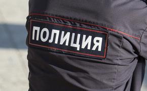 Около половины граждан РФ довольны работой отечественной полиции