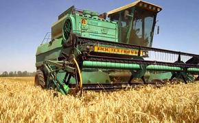 На Южном Урале собрали рекордные объемы зерна за последние 25 лет