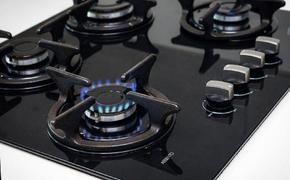 В Госдуме предложили запретить использовать газ в жилых домах