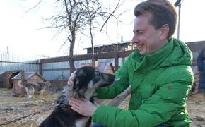 Владимир Бурматов предоставит зоозащитным организациям Челябинска гранты