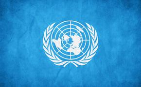 ООН прекратит предоставлять продовольственную помощь жителям Донбасса