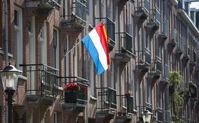 Посол РФ назвал безосновательными обвинения Нидерландов во вмешательстве