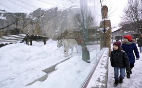 31 декабря Московский зоопарк закроется раньше обычного времени