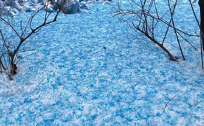 Синий снег напугал жителей Петербурга