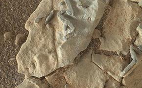 Специалисты NASA обнаружили на Марсе странные «палочковидные» образования