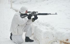 Киев перебросил в Донбасс иностранных снайперов для отстрела ВСУ и националистов