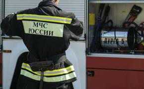 Из горящей московской квартиры спасли двоих детей