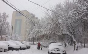 Собянина призвали отменить плату за парковку из-за "снегопада века"