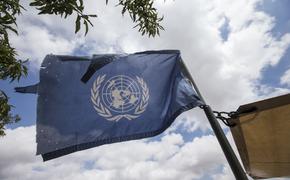 Стали известны предполагаемый состав и численность миссии ООН в Донбассе