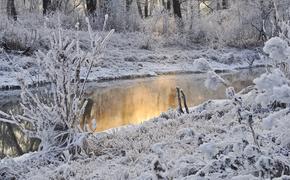 В Москве сегодня начнется мощный снегопад