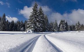 Охотник 10 часов шел по зимнему лесу, чтобы помочь другу