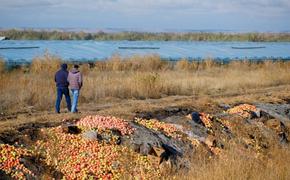 Все оттенки серого в Волгограде решили перекрасить