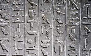 Уникальный некрополь с сокровищами древних жрецов нашли в Египте