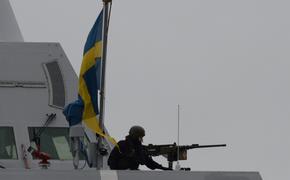 СМИ предсказали развал собравшейся воевать с Россией Швеции