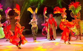 В Челябинск приезжает международный цирк Никулина