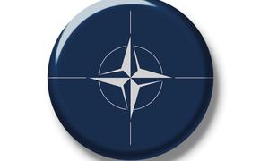 В НАТО нелестно отозвались о Московской конференции по безопасности