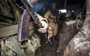 Опубликовано видео провокационного обстрела националистами позиций ДНР