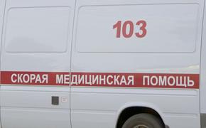 Человек погиб в ходе ДТП с участием грузовика в Новомосковском округе