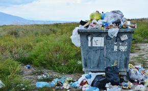 Швейцарцы начали выкидывать мусор во Францию
