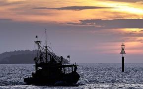 Черноморский флот готов противодействовать украинскому пиратству