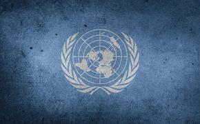 Девять государств созывают экстренное заседание Совбеза ООН по Сирии