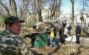 В Солнечногорске началась борьба с мусором