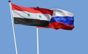 Совфед: Россия никогда не поставляла Сирии технологии двойного назначения