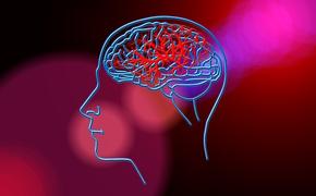 Ученые: даже легкий удар по голове может вызвать развитие болезни Паркинсона