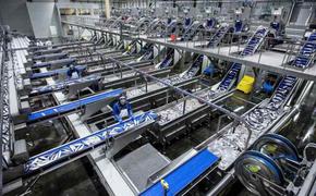 Медведев дал поручения по организации рыбалки