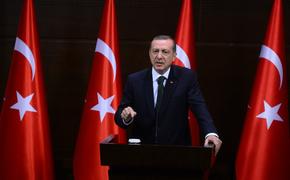 Эрдоган осудил убийства палестинцев, назвал Израиль террористической страной
