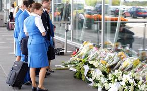 Посол: обвинения в причастности России к крушению MH17 являются провокацией