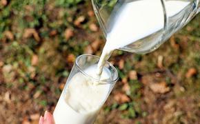 Россельхознадзор запретил поставки молока с двух предприятий Беларуси