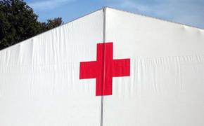 Порошенко пообещал привлечь Красный Крест к защите прав  украинцев в России