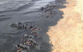 Жители Гурзуфа сообщают о масштабном загрязнении пляжей мазутом
